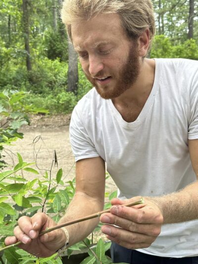 Virtual Survival Teaching Mentorship Program
